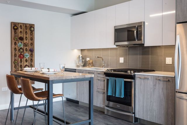 1743 N LEAVITT Street 310, Chicago, IL 60647