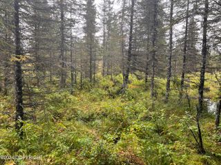 L2B4 Old Sterling Highway, Anchor Point, AK 99556