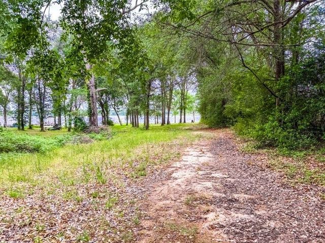 TBD County Road 891, Jewett, TX 75846