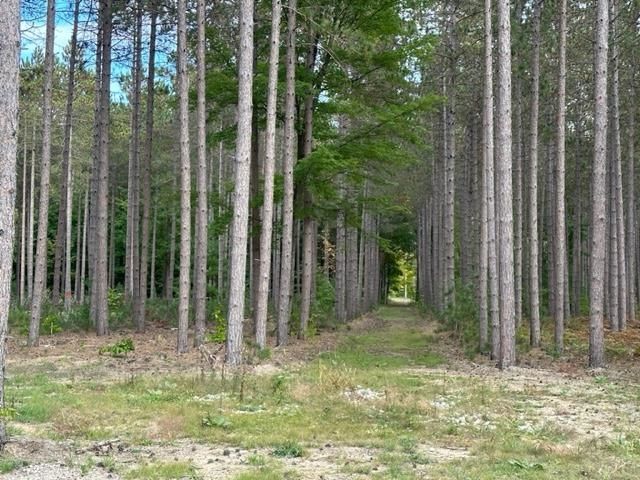 Lot 48 Cascade Trail, Traverse City, MI 49685