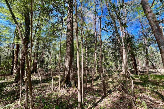 40 Lillian Ln, Ethel, LA 70730