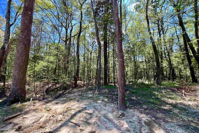 40 Lillian Ln, Ethel, LA 70730
