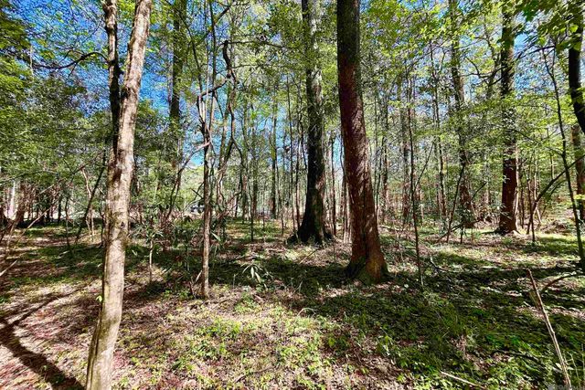 40 Lillian Ln, Ethel, LA 70730