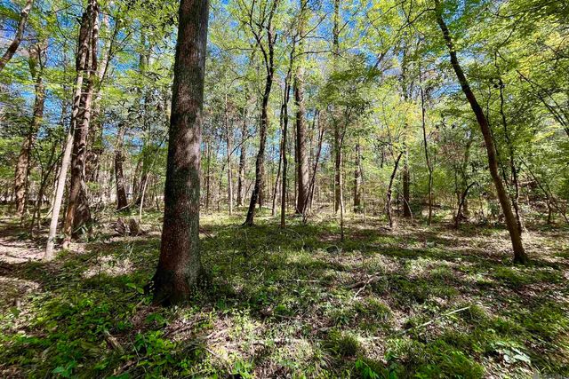 40 Lillian Ln, Ethel, LA 70730