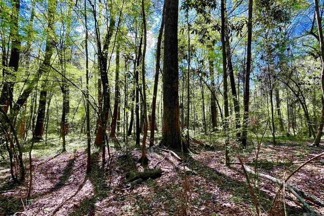 40 Lillian Ln, Ethel, LA 70730