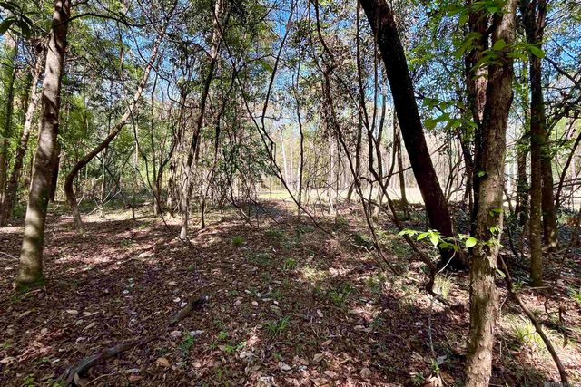 40 Lillian Ln, Ethel, LA 70730