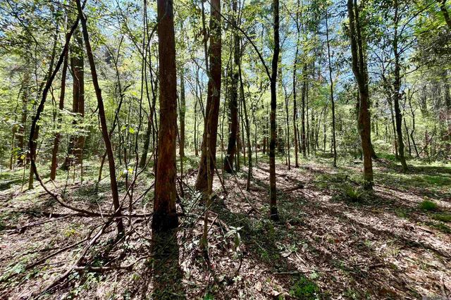 40 Lillian Ln, Ethel, LA 70730