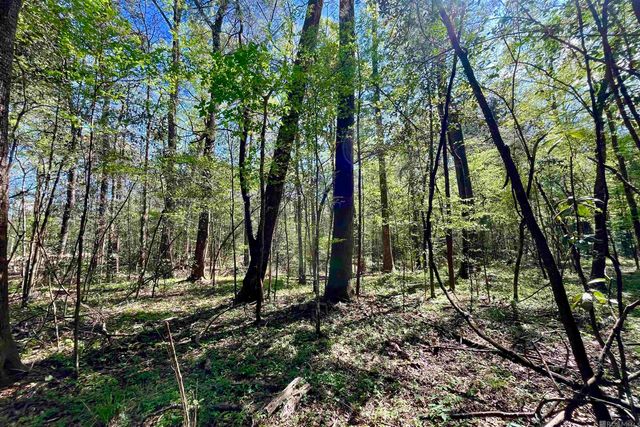 40 Lillian Ln, Ethel, LA 70730