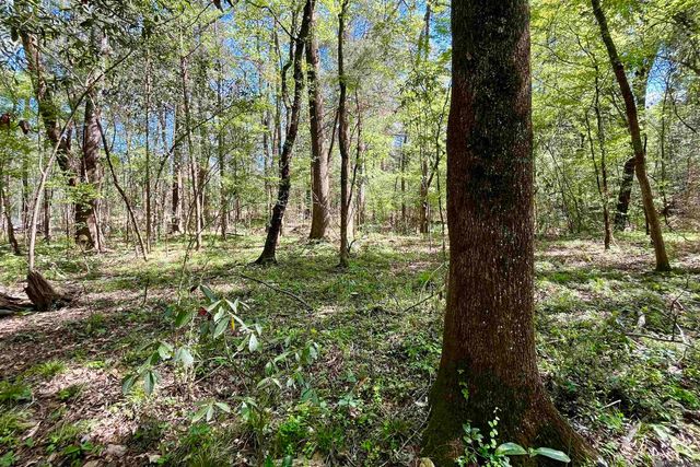 40 Lillian Ln, Ethel, LA 70730