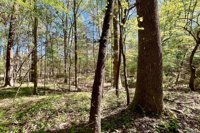 40 Lillian Ln, Ethel, LA 70730