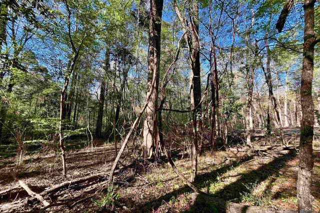 40 Lillian Ln, Ethel, LA 70730