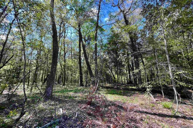 40 Lillian Ln, Ethel, LA 70730