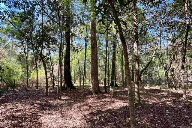 40 Lillian Ln, Ethel, LA 70730