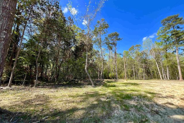40 Lillian Ln, Ethel, LA 70730