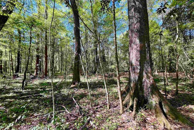 40 Lillian Ln, Ethel, LA 70730