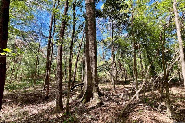 40 Lillian Ln, Ethel, LA 70730