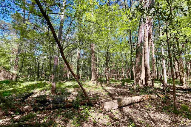 40 Lillian Ln, Ethel, LA 70730