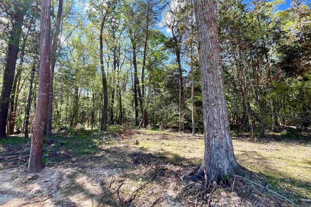 40 Lillian Ln, Ethel, LA 70730
