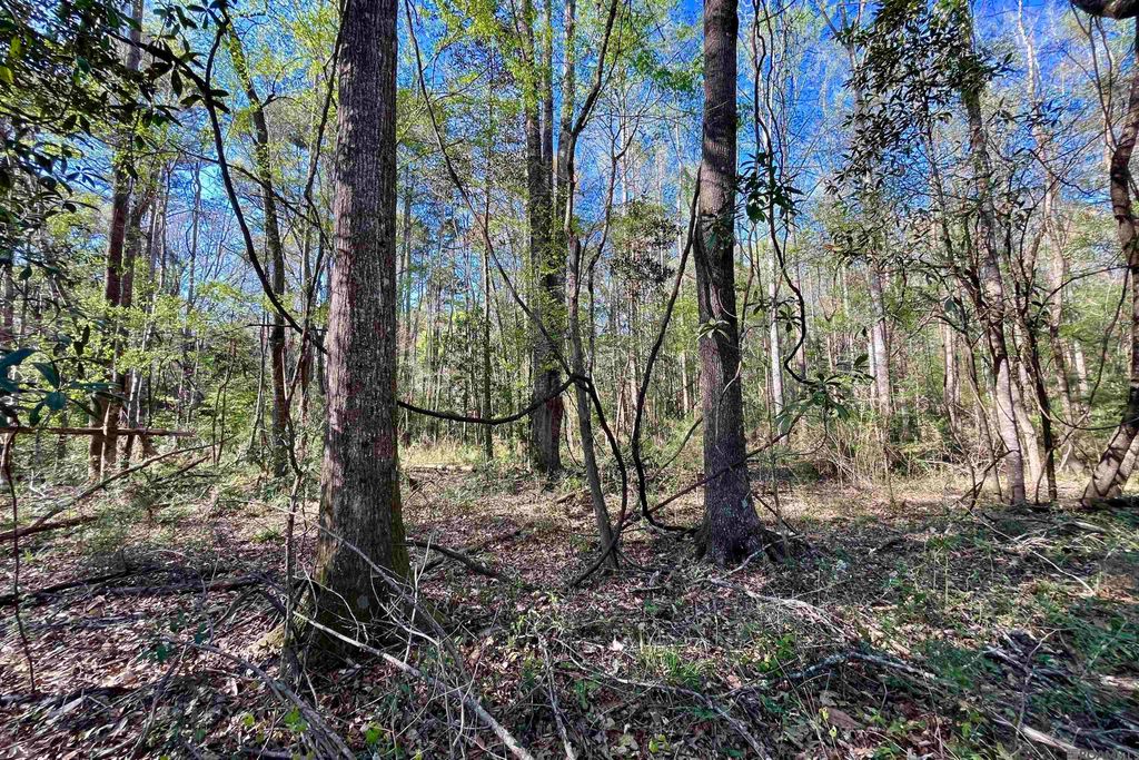 40 Lillian Ln, Ethel, LA 70730