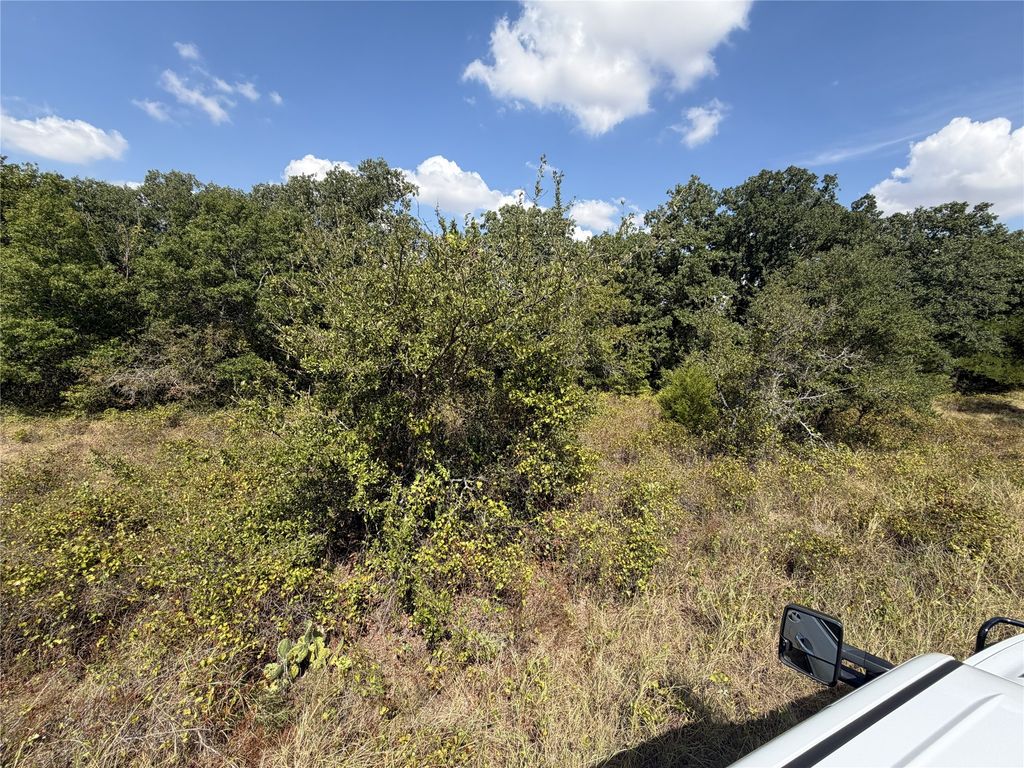 2009 Hoopers Court, Weatherford, TX 76085 — photo 3