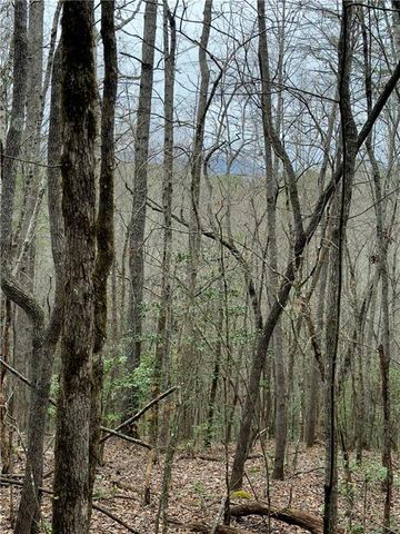 807 East Ridge Lane, Ellijay, GA 30536