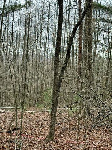 807 East Ridge Lane, Ellijay, GA 30536