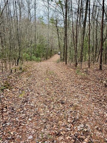807 East Ridge Lane, Ellijay, GA 30536