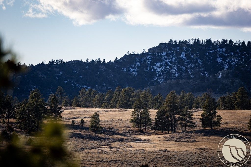 1234 Border Rd, Shepherd, MT 59079