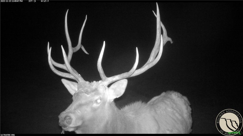 1234 Border Rd, Shepherd, MT 59079 photo 11