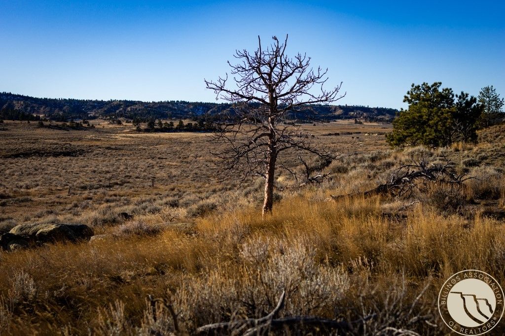 1234 Border Rd, Shepherd, MT 59079 photo 13