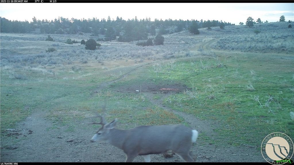 1234 Border Rd, Shepherd, MT 59079 photo 14