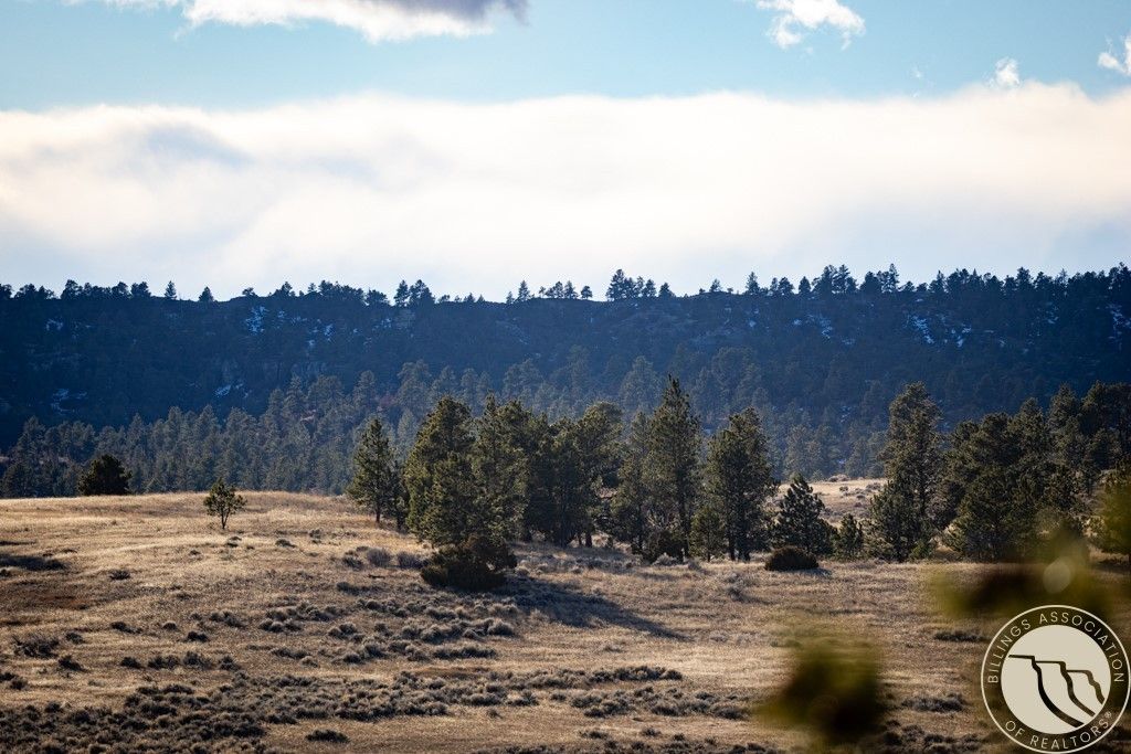 1234 Border Rd, Shepherd, MT 59079 photo 18