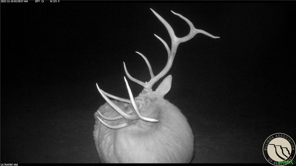 1234 Border Rd, Shepherd, MT 59079 photo 19