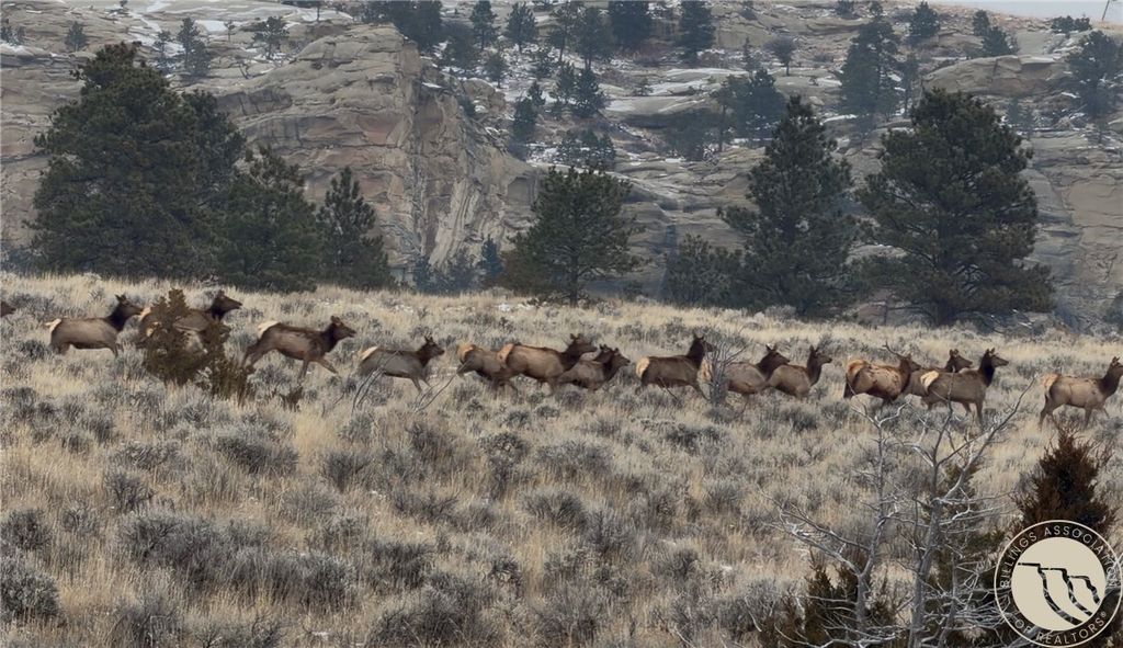 1234 Border Rd, Shepherd, MT 59079 photo 2