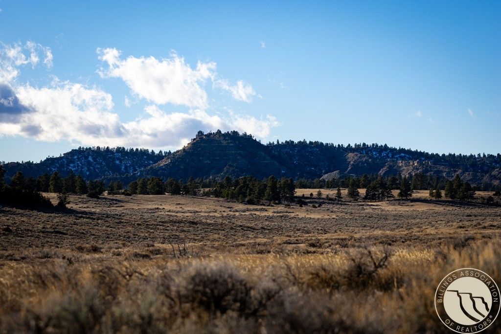 1234 Border Rd, Shepherd, MT 59079 photo 20