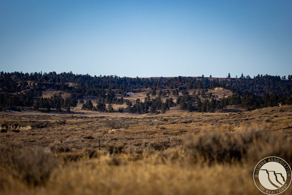 1234 Border Rd, Shepherd, MT 59079 photo 21