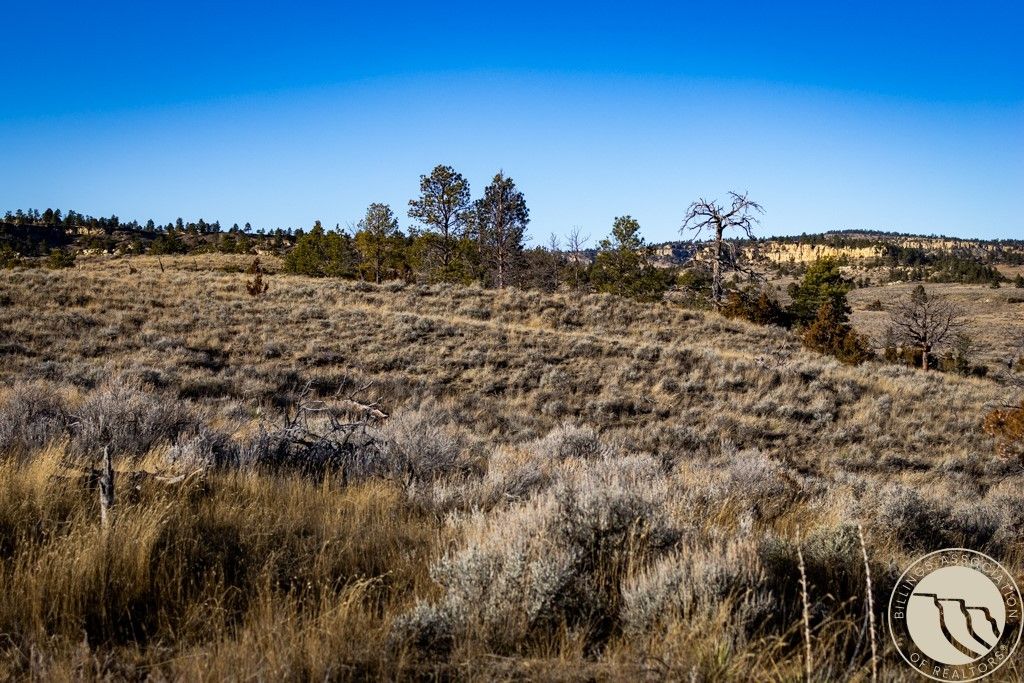 1234 Border Rd, Shepherd, MT 59079 photo 23