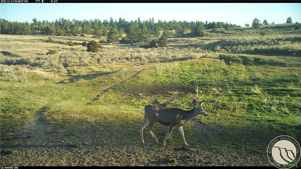 1234 Border Rd, Shepherd, MT 59079 photo 26