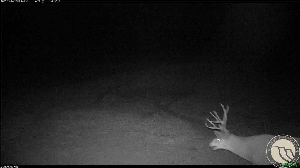 1234 Border Rd, Shepherd, MT 59079 photo 27