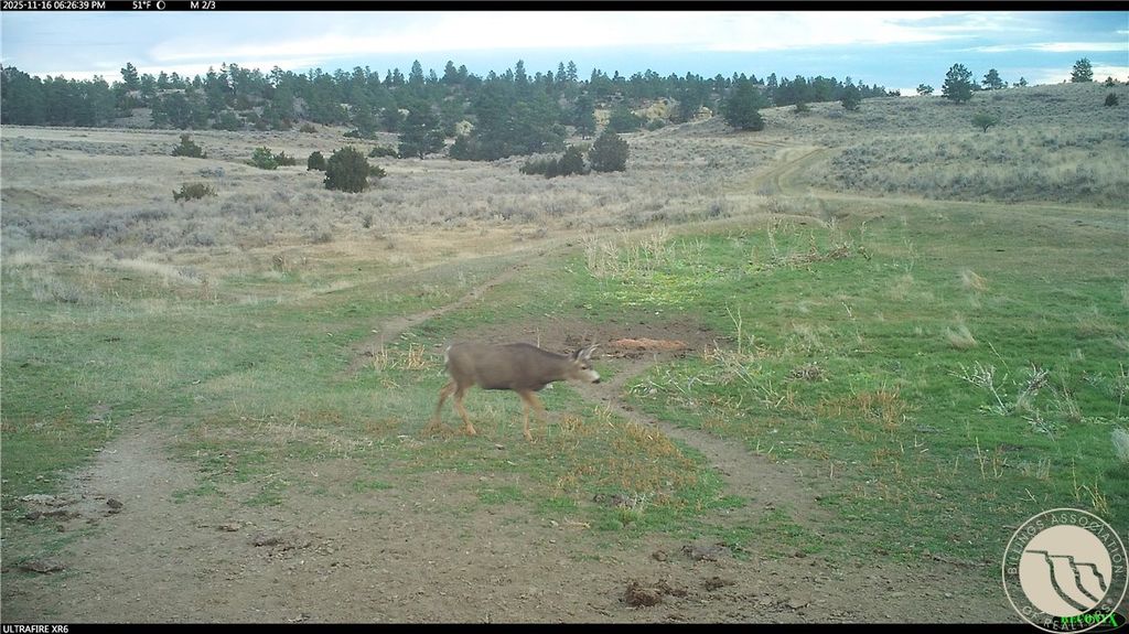 1234 Border Rd, Shepherd, MT 59079 photo 28