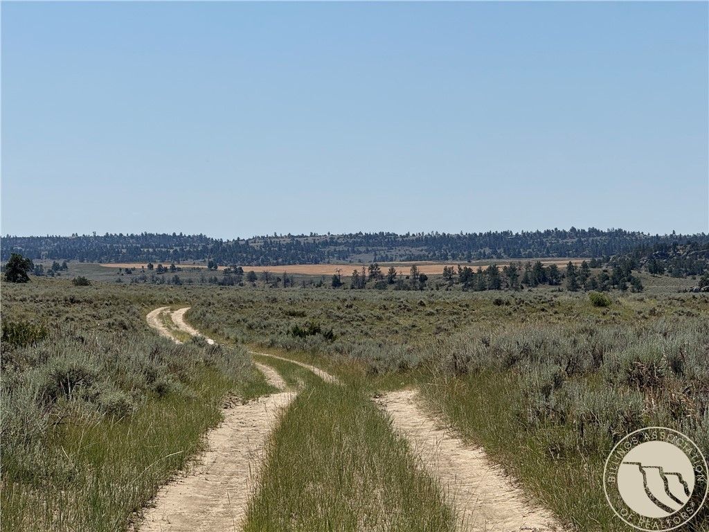 1234 Border Rd, Shepherd, MT 59079 photo 3