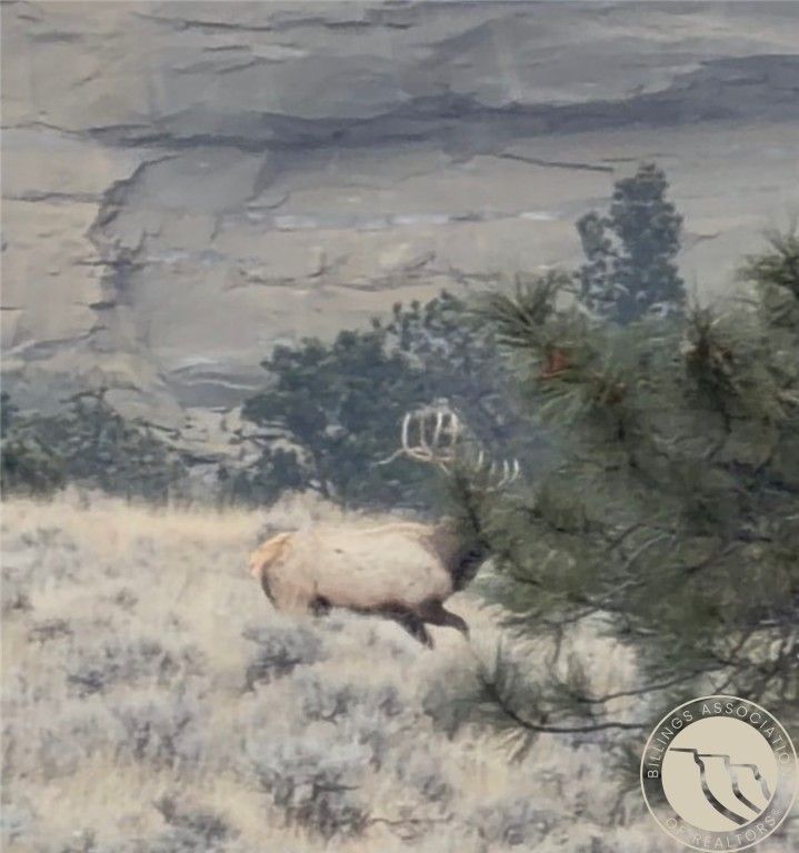 1234 Border Rd, Shepherd, MT 59079 photo 4