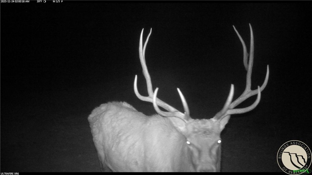 1234 Border Rd, Shepherd, MT 59079 photo 5