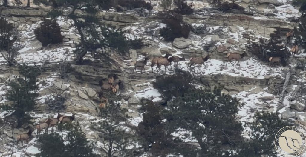 1234 Border Rd, Shepherd, MT 59079 photo 7