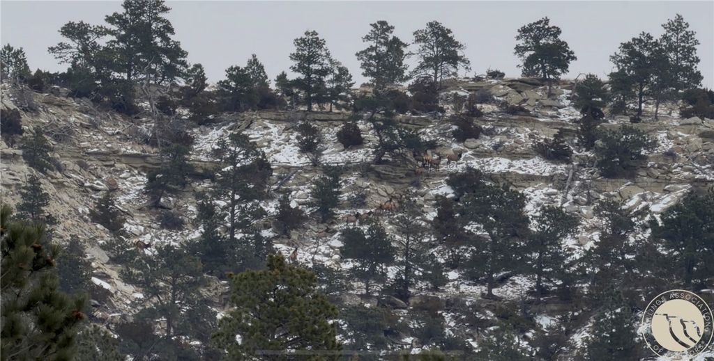 1234 Border Rd, Shepherd, MT 59079 photo 9