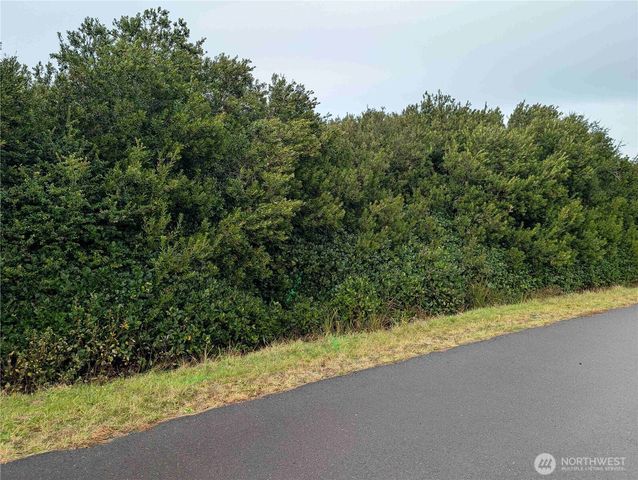 430 Salina Cruz Avenue, Ocean Shores, WA 98569