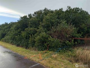 430 Salina Cruz Avenue, Ocean Shores, WA 98569