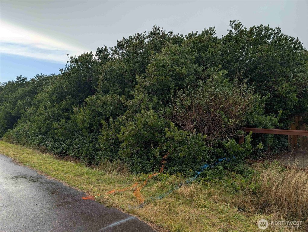 430 Salina Cruz Avenue, Ocean Shores, WA 98569