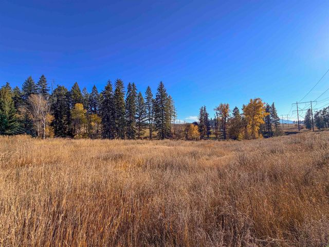 2082 Whitetail Way, Colville, WA 99114 property photo
