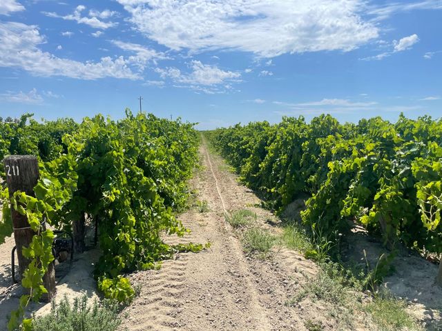 1 S Plumas Avenue, Kerman, CA 93630